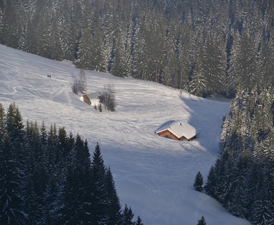 location chalet ski